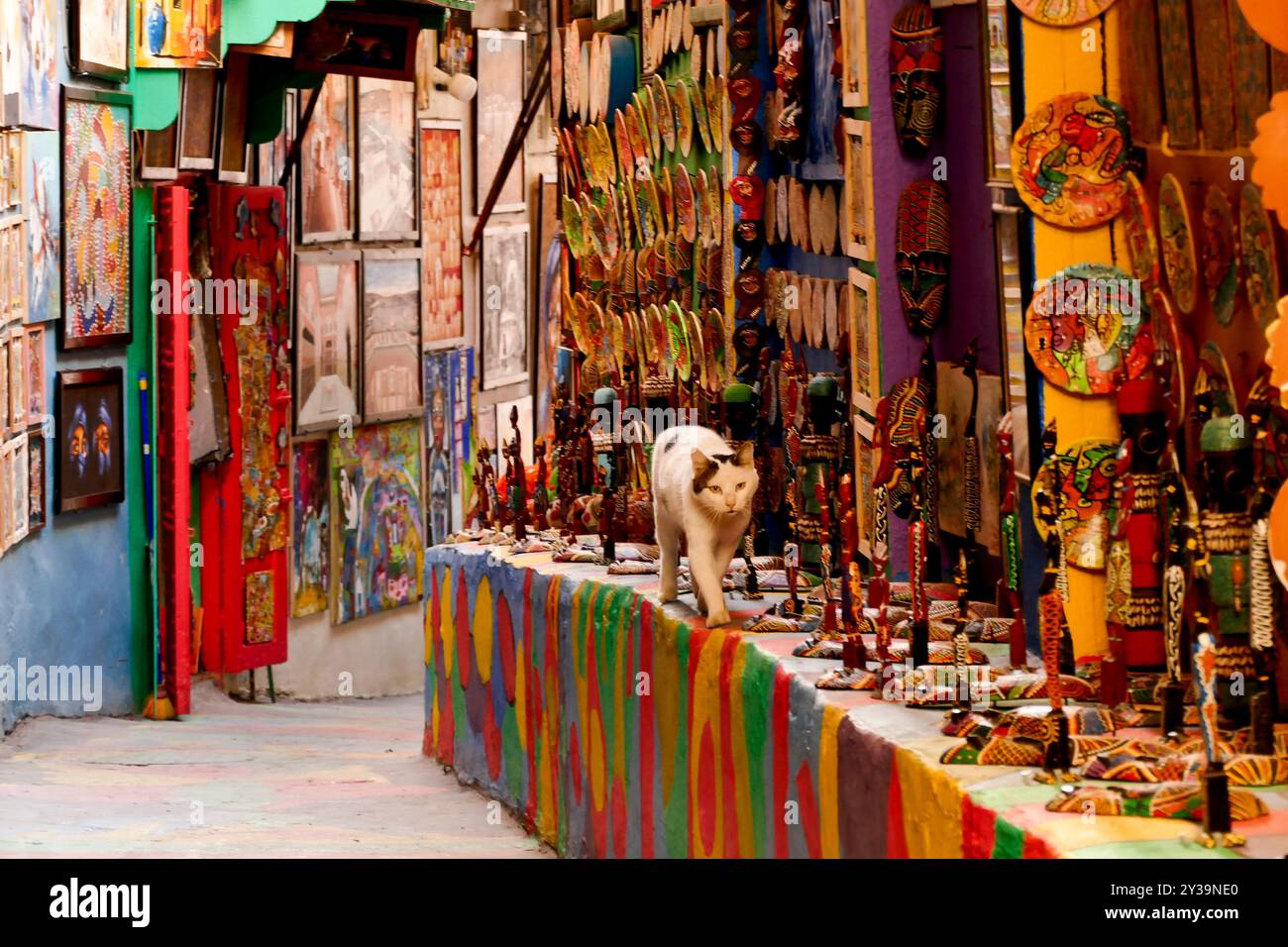 FES, Marocco. Il Souk offre artigianato e prodotti tipici Foto Stock