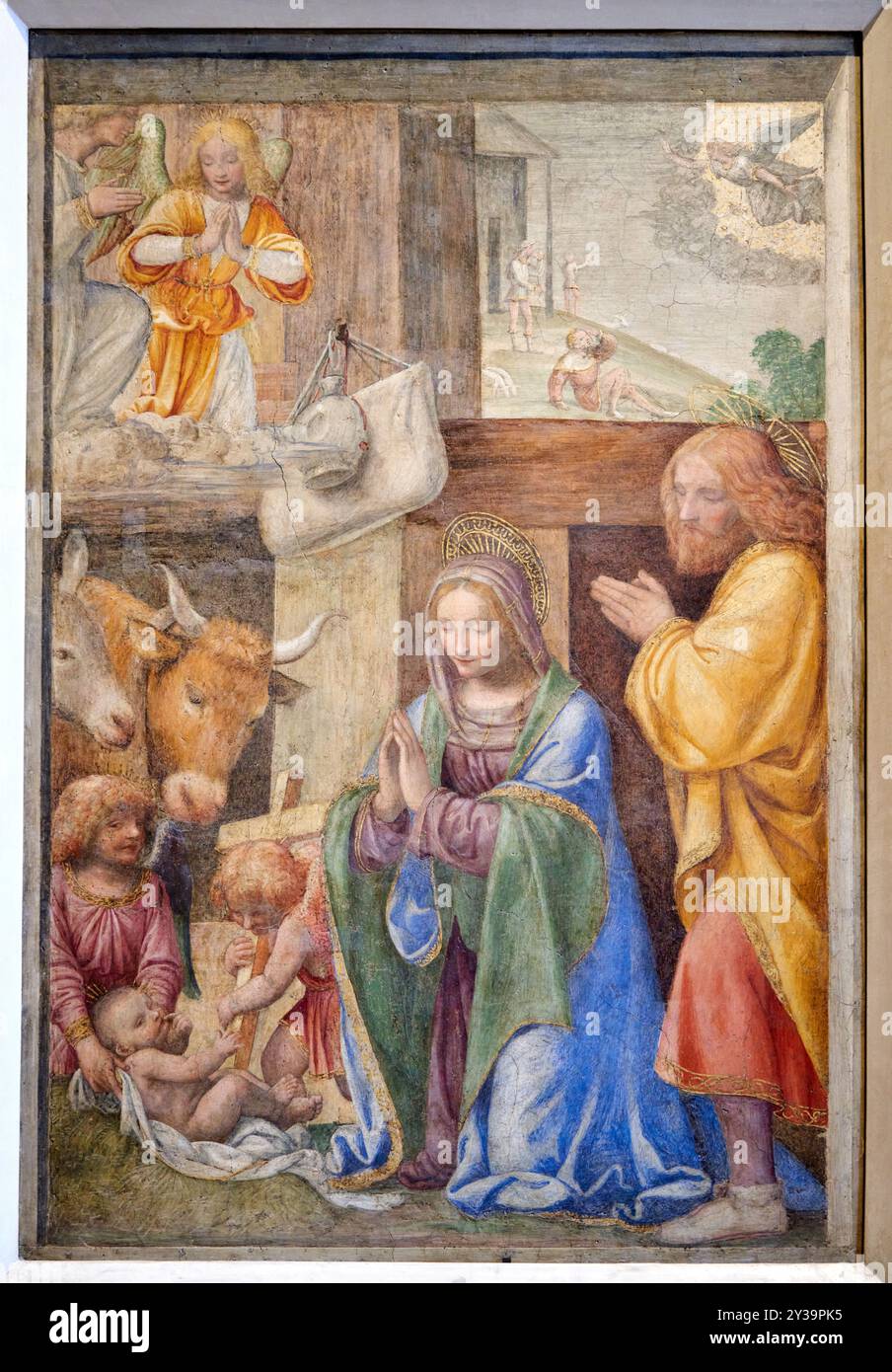 La Natività e l'Annunciazione ai Pastori, affresco, circa 1520-1525, Bernardino LUINI, Luino (Lombardia) ?, vers 1485 - Milano (Lombardie) ?, 1 Foto Stock