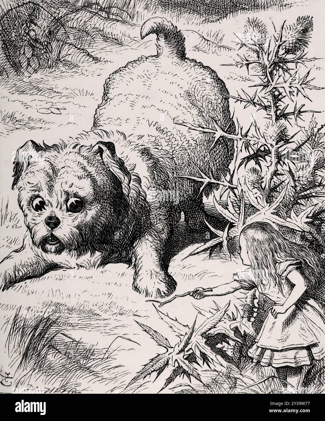Lewis Carrol - un cucciolo quasi fa funzionare Alice sopra l'arte Di John Tenniel per Alices Adventures in Wonderland di Lewis Carroll 1866 Foto Stock