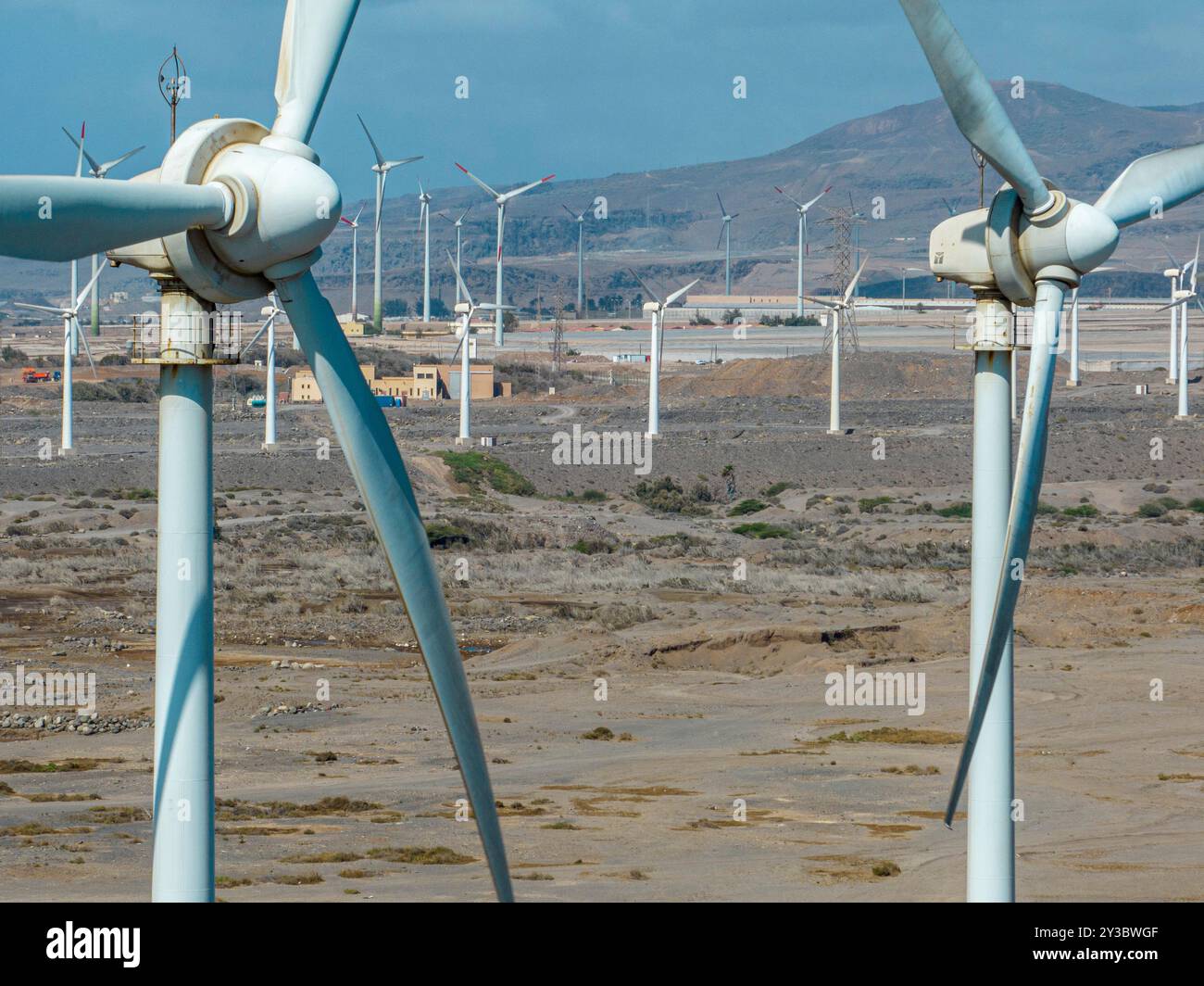 Energia rinnovabile, energia eolica, turbine eoliche in movimento, vicino all'oceano. Energia elettrica rinnovabile. Alimentazione elettrica. Gran Canaria Foto Stock