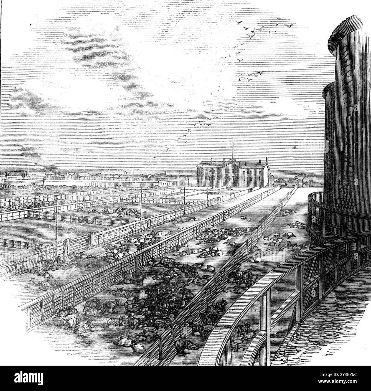 The Great Fire at Chicago: Stock-yards, 1871. Prima dell'incendio. Uno dei grandi mestieri di Chicago è la cura e l'imballaggio della carne di maiale... le statistiche mostrano che, nel 1870, il numero di maiali vestiti a Chicago era di 688.141... a Chicago c'erano circa cinquanta aziende impegnate in questo business. Disponevano di enormi depositi di scorte vive, nonché di stabilimenti di cura e imballaggio. Il Great Union Stock-yards copriva uno spazio di 345 acri, con alloggio per quasi 120.000 animali - bestiame, maiali e pecore. Si diceva ci fossero in questi cantieri 31 miglia di drenaggio, 7 miglia di strade e vicoli, 3 miglia Foto Stock