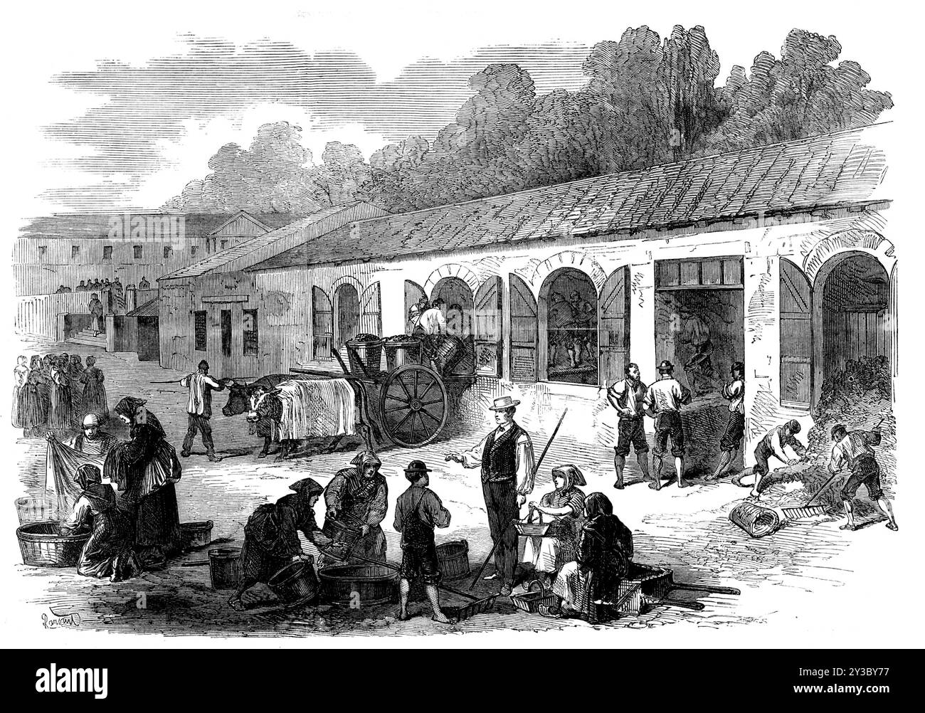 The Vintage of Medoc: The cuvier at Chateau Lafitte, 1871. Il distretto viticolo di M&#xe9;doc, vicino a Bordeaux in Francia. "Veduta di"...il luogo in cui le uve vengono pressate, nelle cuvette o nei tini previsti per quell'uso; questo edificio è chiamato il cuvier...le uve ordinarie, nel frattempo, appena vengono portate e raccolte, vengono pressate dai piedi degli uomini, ballando con la musica più vivace che un paio di fiddler possono suonare. L'intera massa viene quindi gettata nelle vasche, dove avviene naturalmente il processo di fermentazione. Le cisterne vengono svuotate non appena il liquore è freddo, che è dopo t Foto Stock