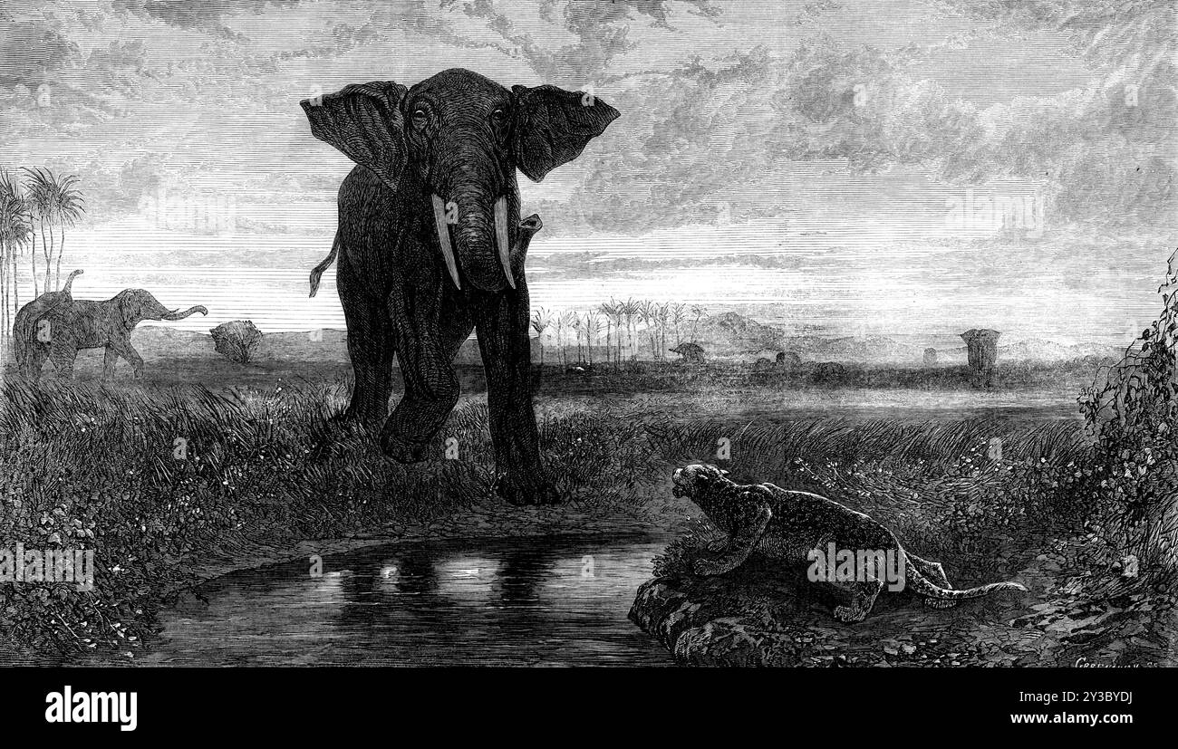 "The Indian Desert", di Decamps, 1871. Incisione di un dipinto. E' tardi la sera o la mattina presto quando gli abitanti del deserto indiano cercano i corsi d'acqua freschi per affogare la loro sete ardente. Ora sgancia il leopardo e la tigre dalla grovigliata copertura della giungla, e il cumbrous elefante sfugge sulla pianura dalle sfumature della foresta. Due delle creature selvatiche si incontrano presso il torrente che è altrettanto ambito da entrambi. Nessuno dei due cederà, ma l'uno diffiderà dell'altro. L'elefante ha vagato un po' dalla sua mandria, il leopardo si allontana da solo, come la bestia della preda Foto Stock