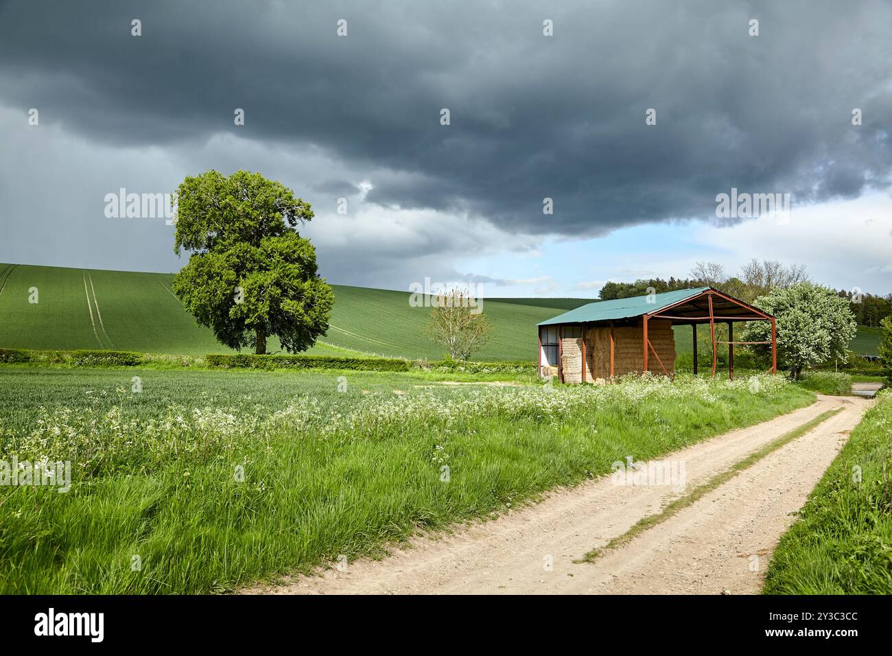 Un capannone rustico si trova su una fattoria di campagna panoramica, circondato da lussureggianti campi verdi e spettacolari cieli tempestosi. Un grande albero aggiunge alla bellezza pastorale. Foto Stock