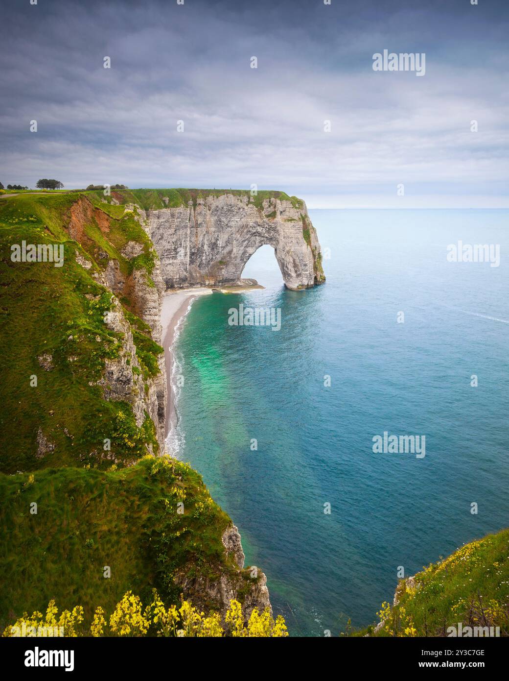 Etretat, la meraviglia dell'arco roccioso di la Manneporte, fiori gialli, scogliera e spiaggia. Regione della Normandia, Francia. Foto Stock