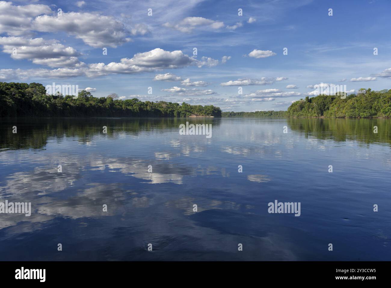 Cielo e alberi che si riflettono nel fiume Juruena, alta Floresta, Amazzonia, Brasile, Sud America Foto Stock