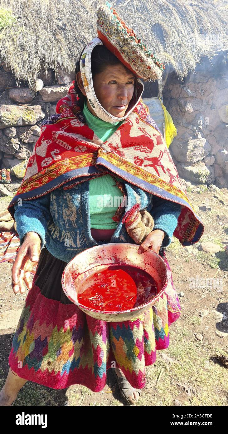 Donna indigena quechua con una ciotola di sangue proveniente dalla macellazione di un alpaca, Perù, Sud America Foto Stock