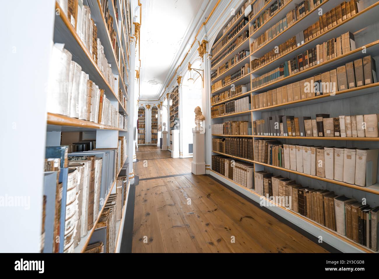 Corridoio in una biblioteca con scaffali alti e pavimento in legno che crea un'atmosfera rilassante, Weimar, Germania, Europa Foto Stock