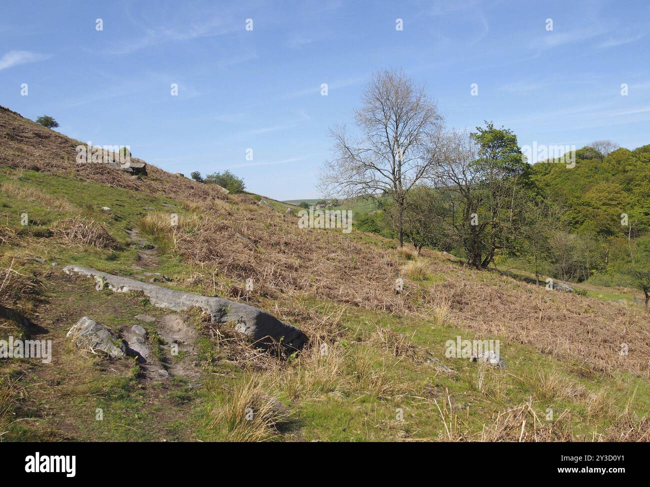 Uno stretto sentiero erboso su un'alta brughiera rocciosa sopra la valle di Crimsworth dean e la foresta di dirupi hardcaslte nel West yorkshire Foto Stock
