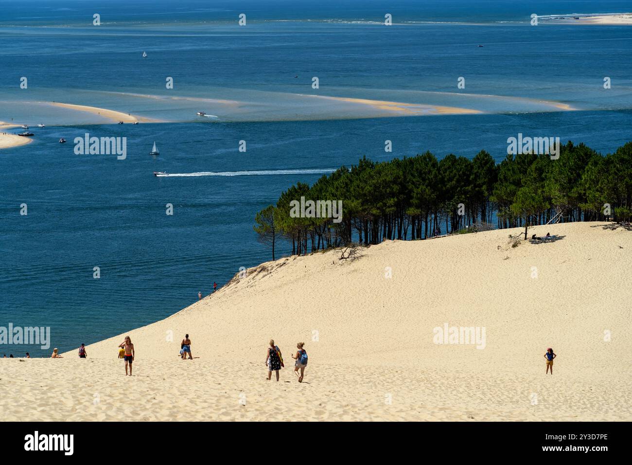 Dune du Pilat, Francia - le dune di sabbia più grandi d'Europa Foto Stock