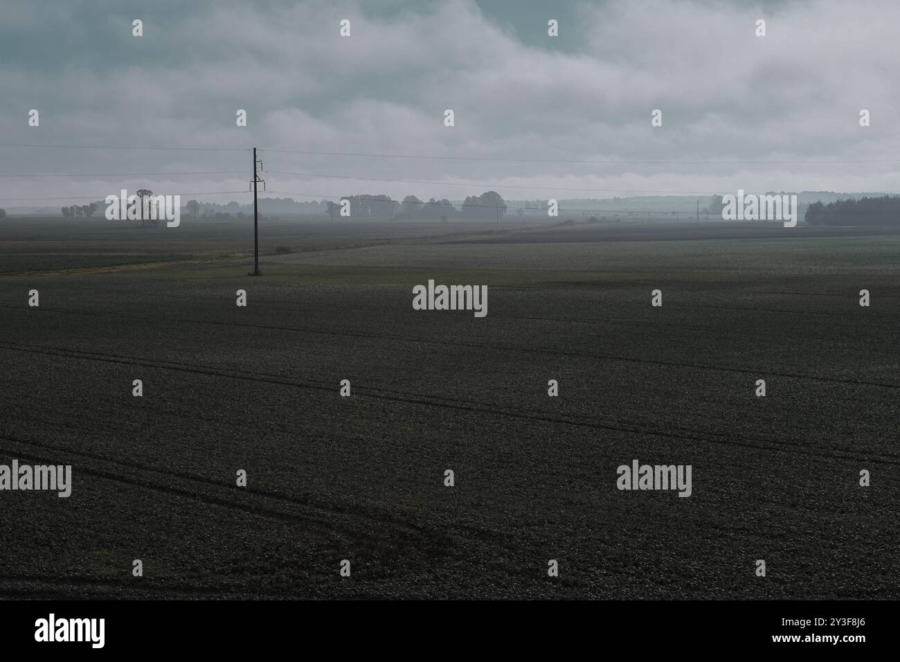 Paesaggio di campo nella nebbia mattutina Foto Stock