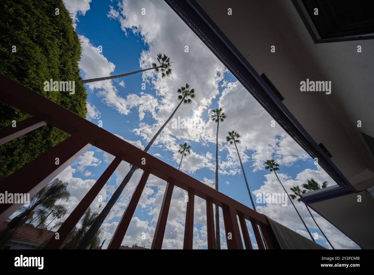 Una vista dall'angolazione bassa cattura un contrasto sorprendente tra alte palme e cielo blu nuvoloso, incorniciato dalle linee degli elementi architettonici. La prospettiva Foto Stock