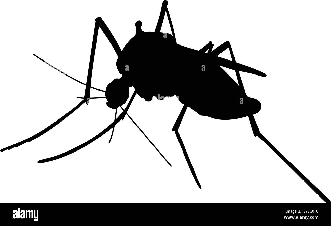 Icona della zanzara, icona degli insetti, insetti domestici, consapevolezza della malaria Illustrazione Vettoriale