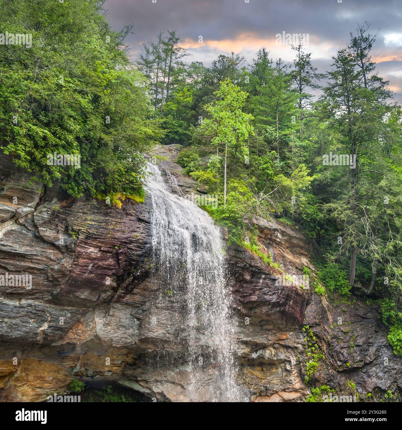 Bridal Veil Fals vicino a Highlands, North Carolina. È una cascata di 60 metri nella foresta nazionale di Nantahla Foto Stock