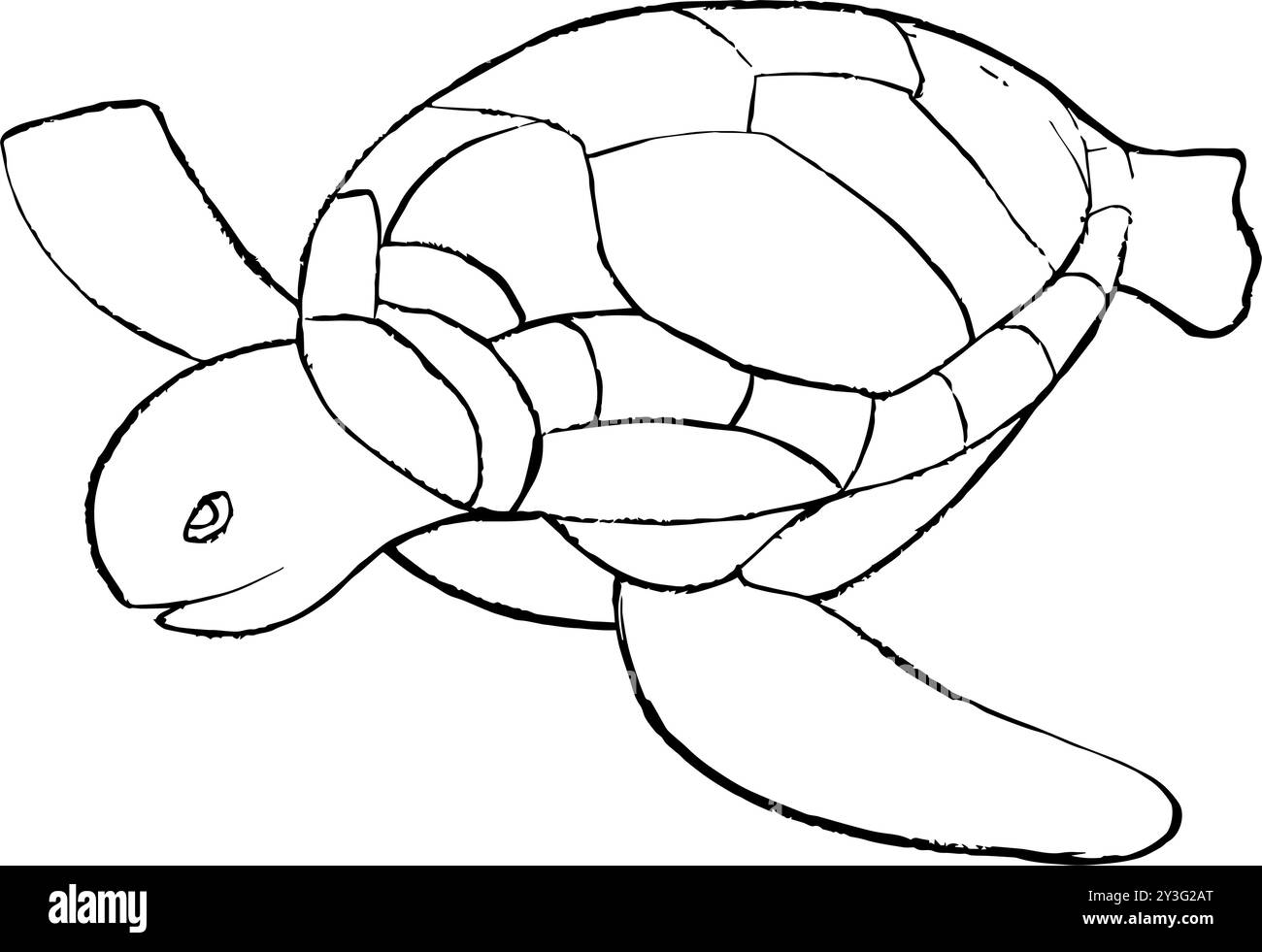 illustrazione disegnata a mano di tartaruga, scarabocchio di tartaruga Illustrazione Vettoriale