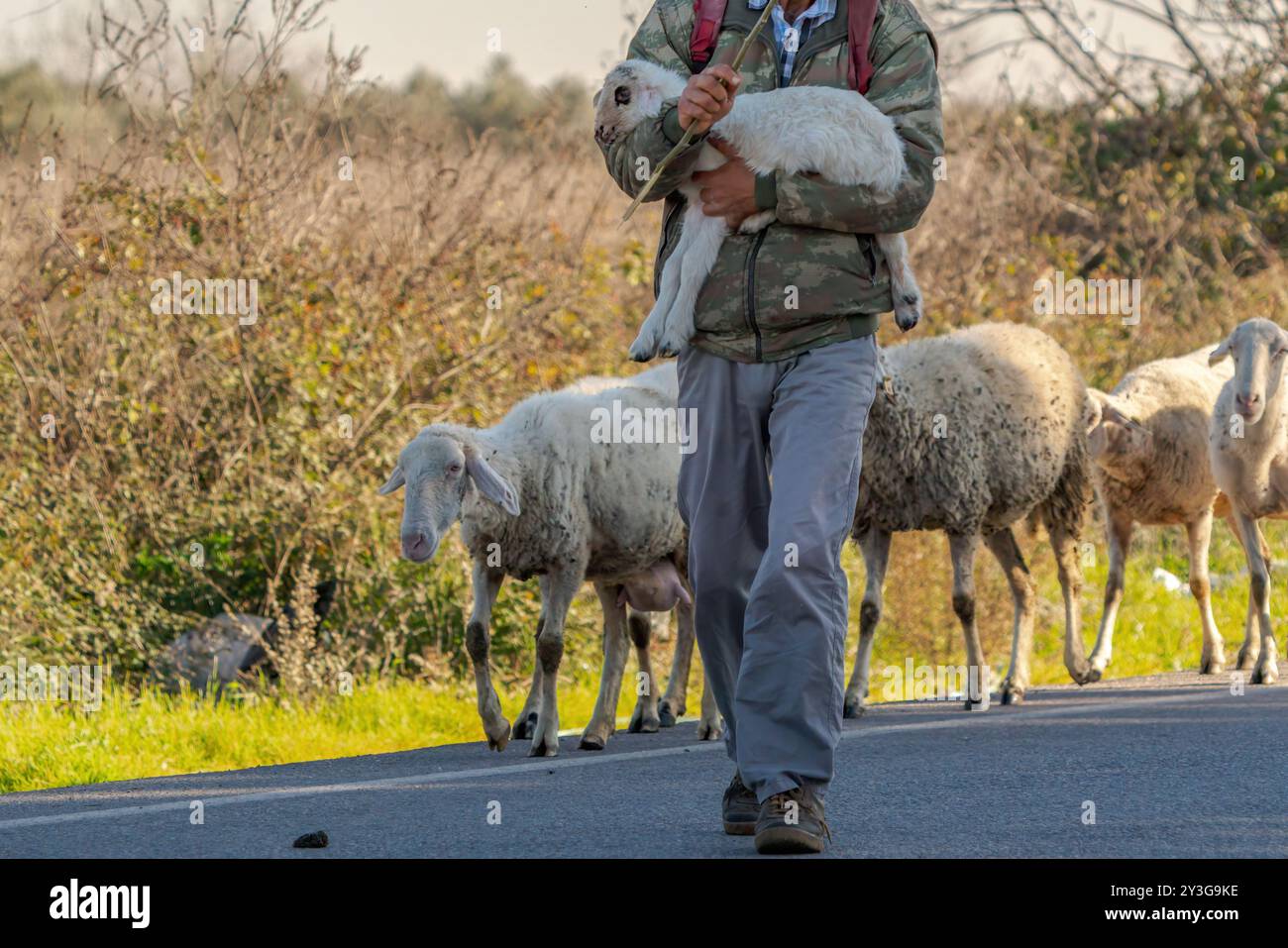 Pastore che porta il suo agnello in grembo Foto Stock