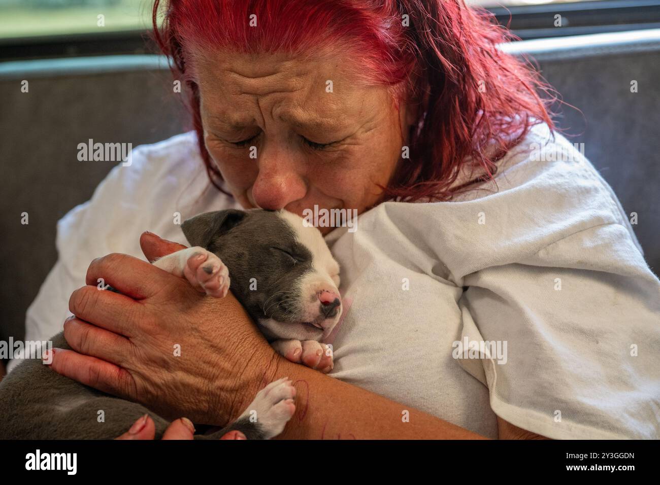 Sacramento, CA. 25 agosto 2024. Twana James, una residente di Camp Resolution, si rompe in lacrime non conoscendo il destino del cucciolo o dei residenti disabili domenica 25 agosto 2024. "Non posso tenerlo", ha detto. Ha detto che non ha avuto tempo di mettere in valigia i suoi effetti personali perché ha cercato di aiutare i residenti più vulnerabili con disabilità prima che i senzatetto di Sacramento City lo spazzassero lunedì. "Non so dove andrò, è pericoloso là fuori", ha detto. (Credit Image: © Renée C. Byer/ZUMA Press Wire) SOLO PER USO EDITORIALE! Non per USO commerciale! Foto Stock