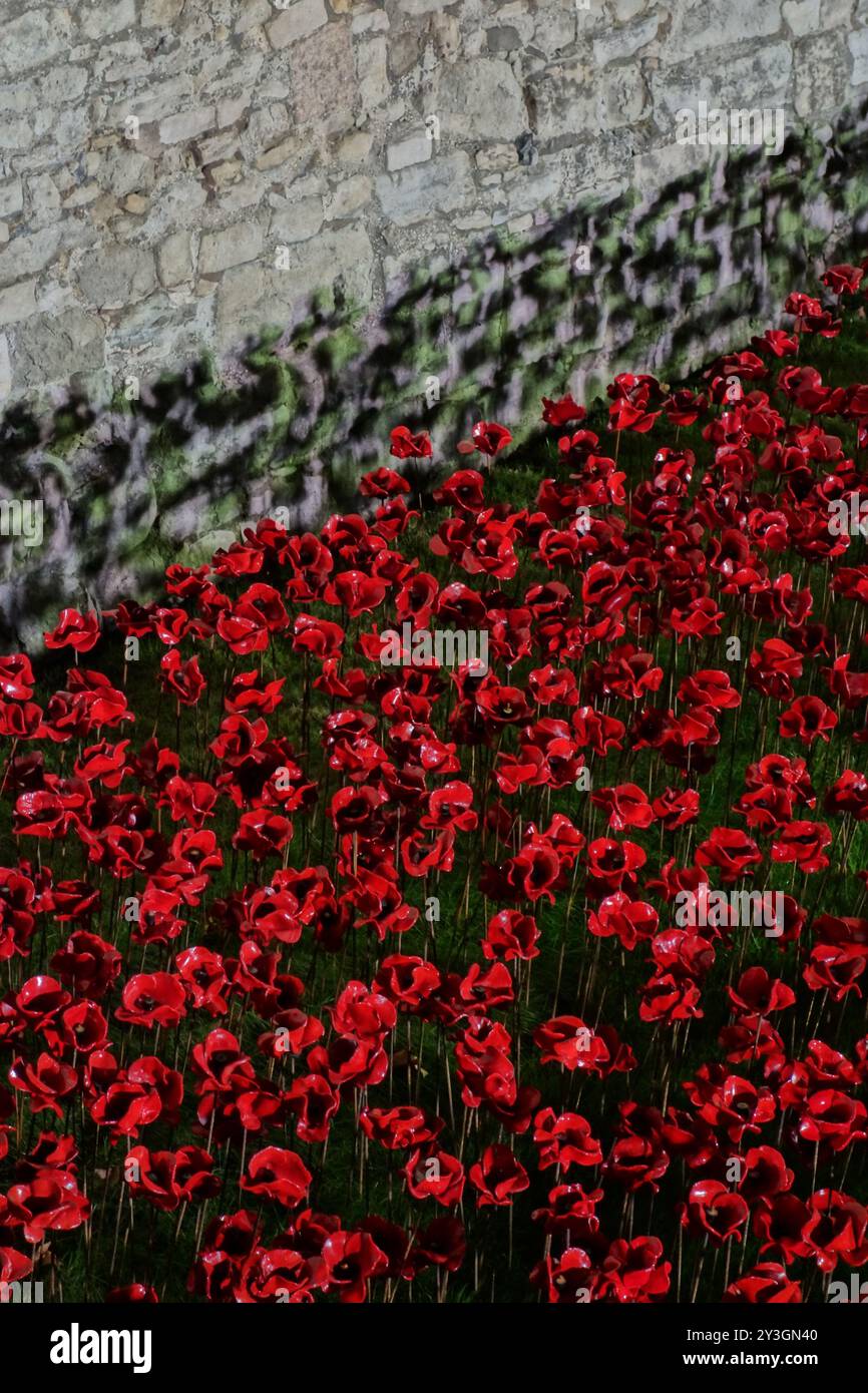 Installazione papavero della Torre di Londra 2014 Foto Stock