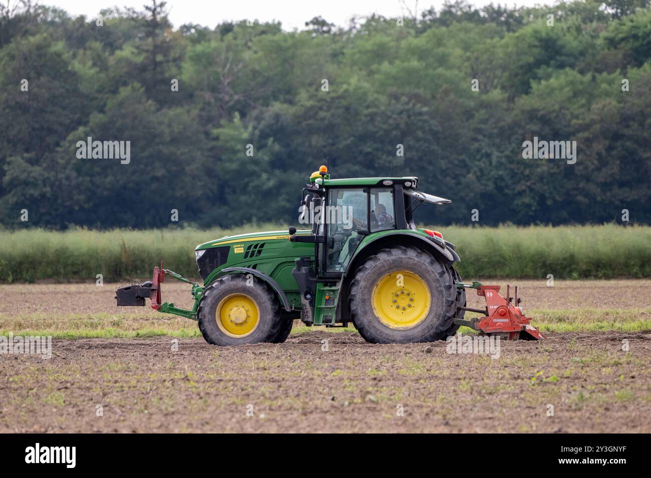 Deutschland, Rheinland-Pfalz, 13.09.2024. Ein Traktor zieht eine große landwirtschaftliche Maschine über ein Feld, um den Boden zu bearbeiten. Foto Stock