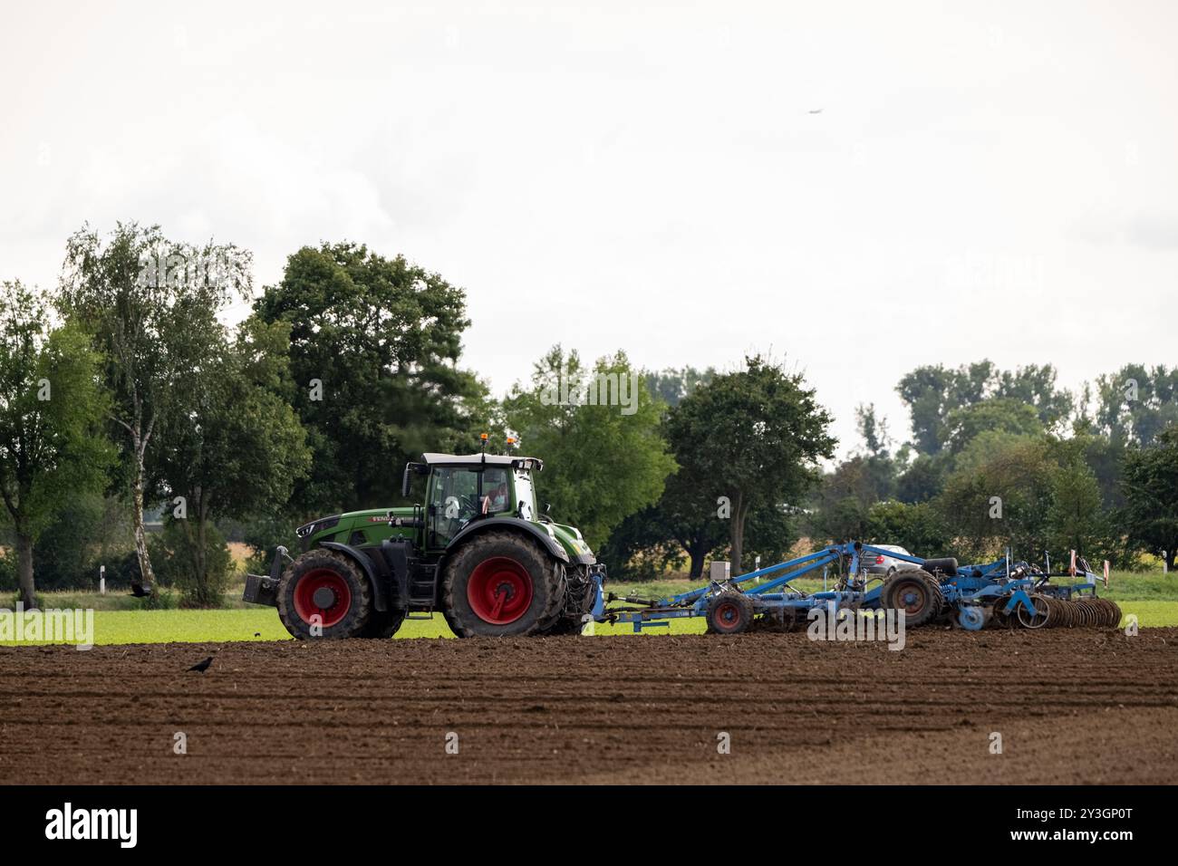 Deutschland, Rheinland-Pfalz, 13.09.2024. Ein Traktor zieht eine große landwirtschaftliche Maschine über ein Feld, um den Boden zu bearbeiten. Foto Stock