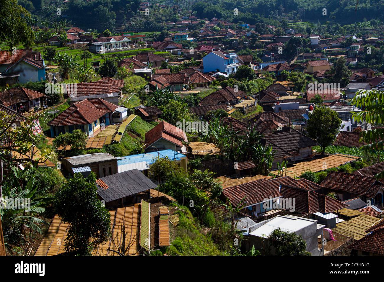 Bandung, Giava Occidentale, Indonesia. 14 settembre 2024. Vista aerea dei vassoi di foglie di tabacco essiccate sotto il sole a Sumedang, Indonesia. Entrando nella stagione secca, i residenti del villaggio di Tembakau lavorano duramente per lavorare le foglie di tabacco. Vassoi di tabacco essiccato al sole riempiono le strade del villaggio, i tetti e le terrazze. Il tabacco proveniente da questo villaggio sarà inviato in varie regioni della Giava occidentale ed esportato all'estero. Attualmente, il numero di fumatori attivi in Indonesia raggiunge 70 milioni di persone, per lo più giovani sulla base dell'indagine sanitaria indonesiana. (Credit Image: © Algi February Sugita/ZUMA Press Wire) SOLO PER USO EDITORIALE! Foto Stock