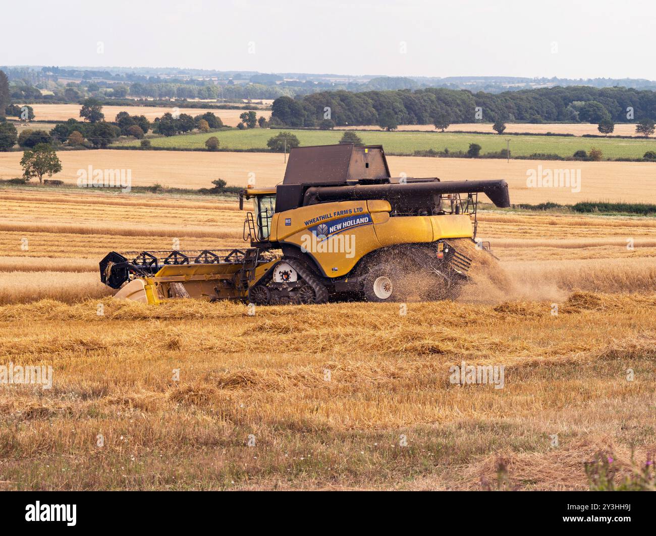 Mietitrebbia serie CR New Holland con ruote anteriori a cinghia cingolata caterpillar SmartTrax per la raccolta di cereali in estate, Leicestershire, Inghilterra Foto Stock