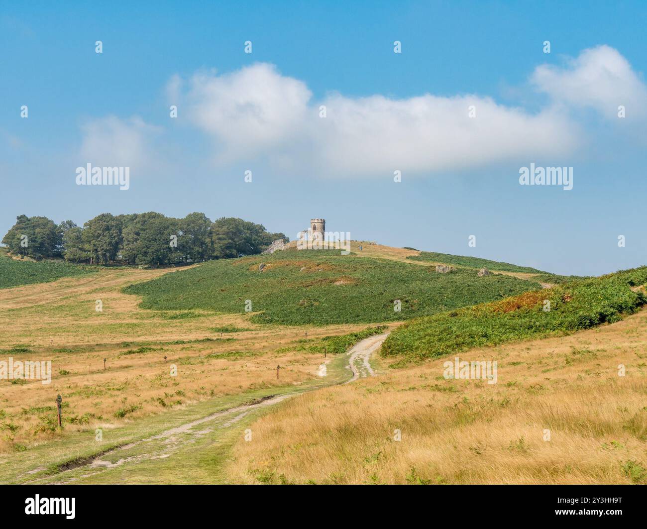 La pista che porta alla cima di una collina, al monumento, al castello e alla follia di "Old John" a Bradgate Park, Leicestershire, Inghilterra, Regno Unito Foto Stock