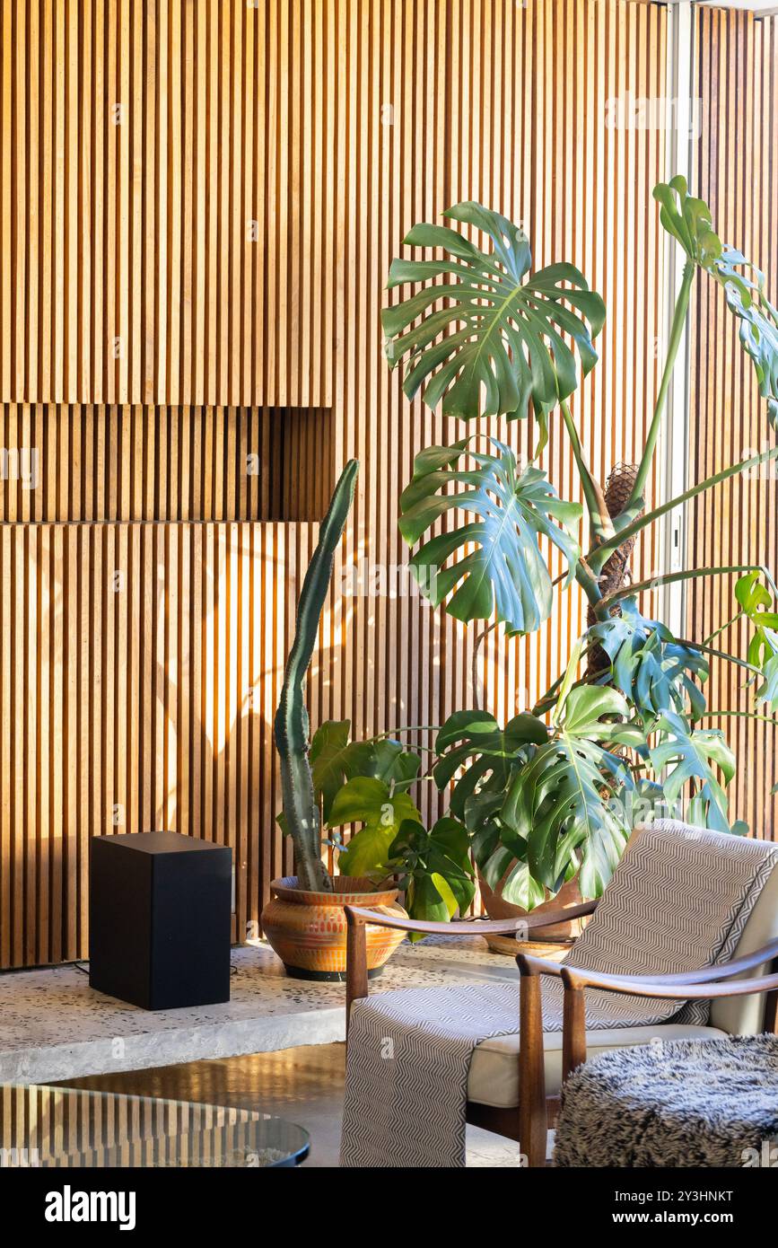 A casa, giardino interno con piante in vaso e mobili moderni in un accogliente soggiorno Foto Stock