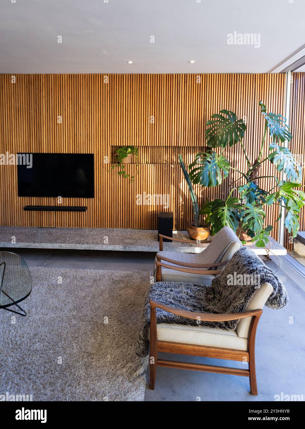 A casa, moderno soggiorno con parete in legno, grandi piante e accogliente area salotto Foto Stock