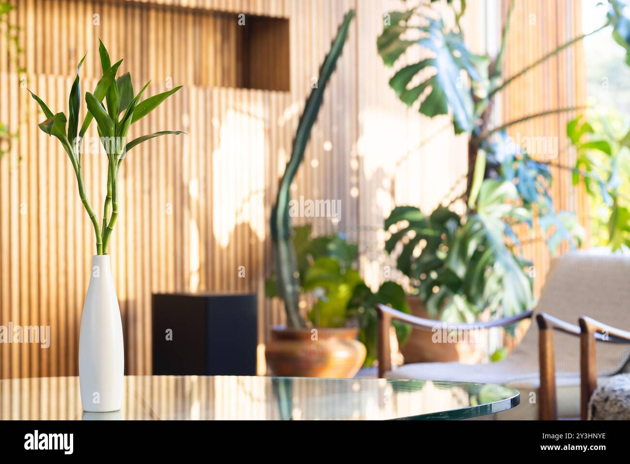 A casa, giardino interno con piante di bambù in vaso su tavola di vetro, circondato dal verde Foto Stock