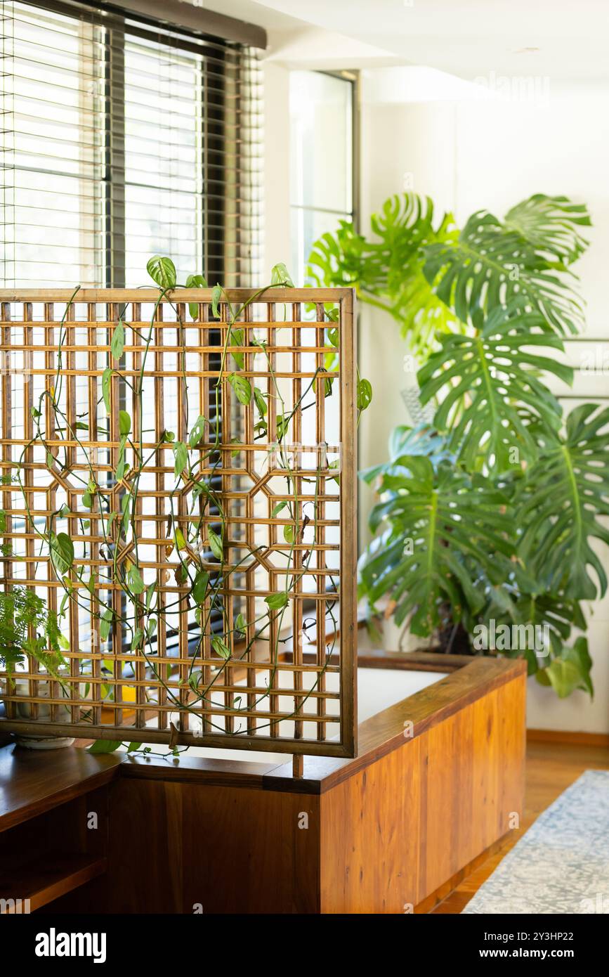 A casa, giardino interno con tralicci in legno e lussureggianti piante verdi nel moderno soggiorno Foto Stock