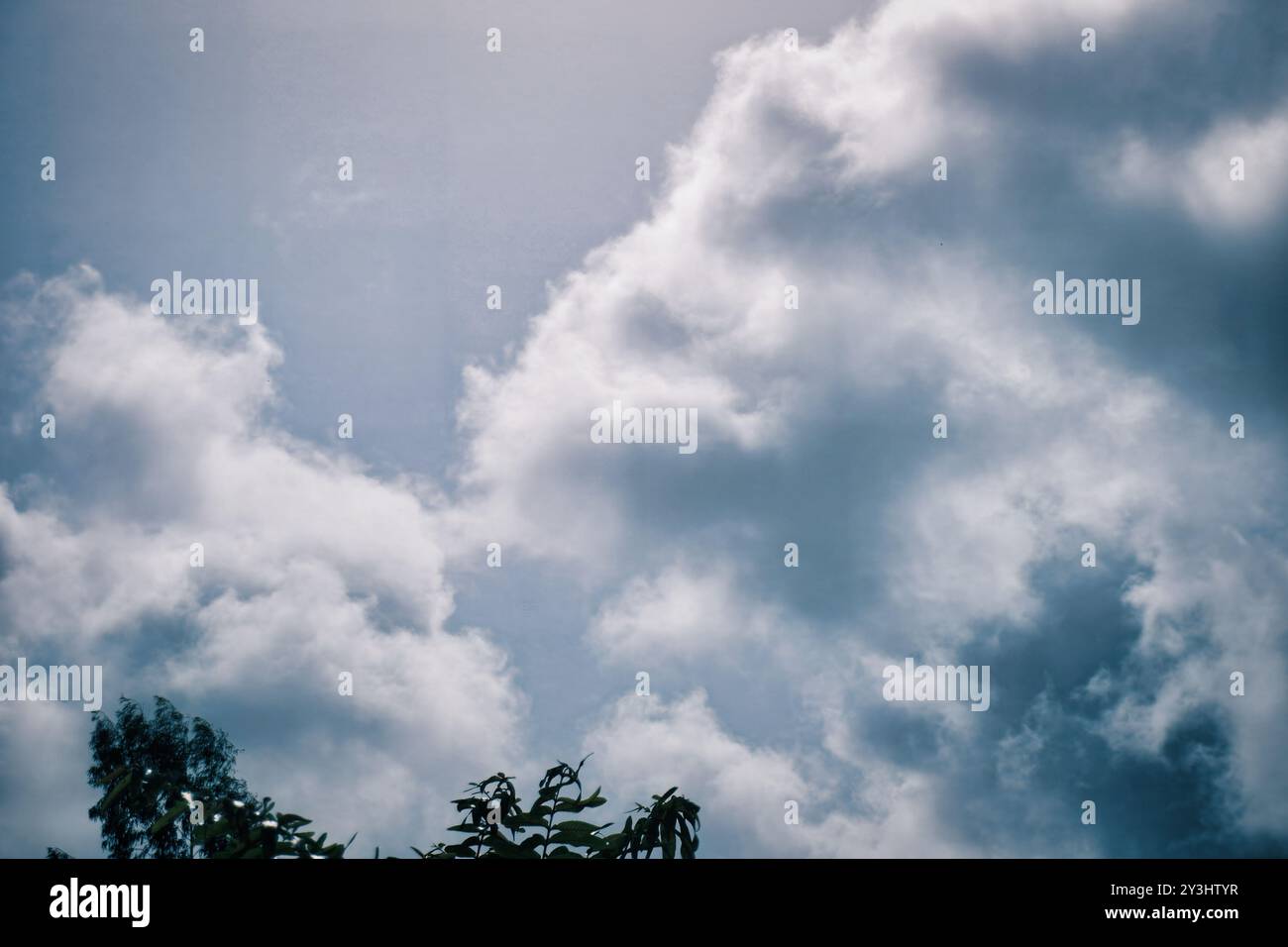 Immergiti nella serenità di questa immagine di scorta, caratterizzata da morbide nuvole di cullo che si muovono in un delicato cielo blu. La luce solare filtra attraverso la f Foto Stock