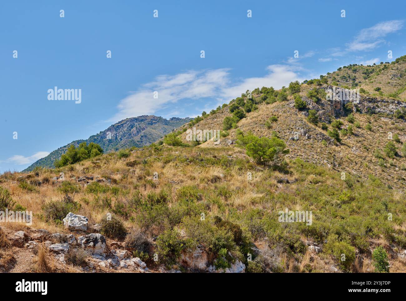 All'aperto, in montagna e nella natura della foresta, del cielo e del paesaggio dell'ambiente, del viaggio e della pace della terra. Campagna, posizione e vacanza all'insegna dell'avventura Foto Stock