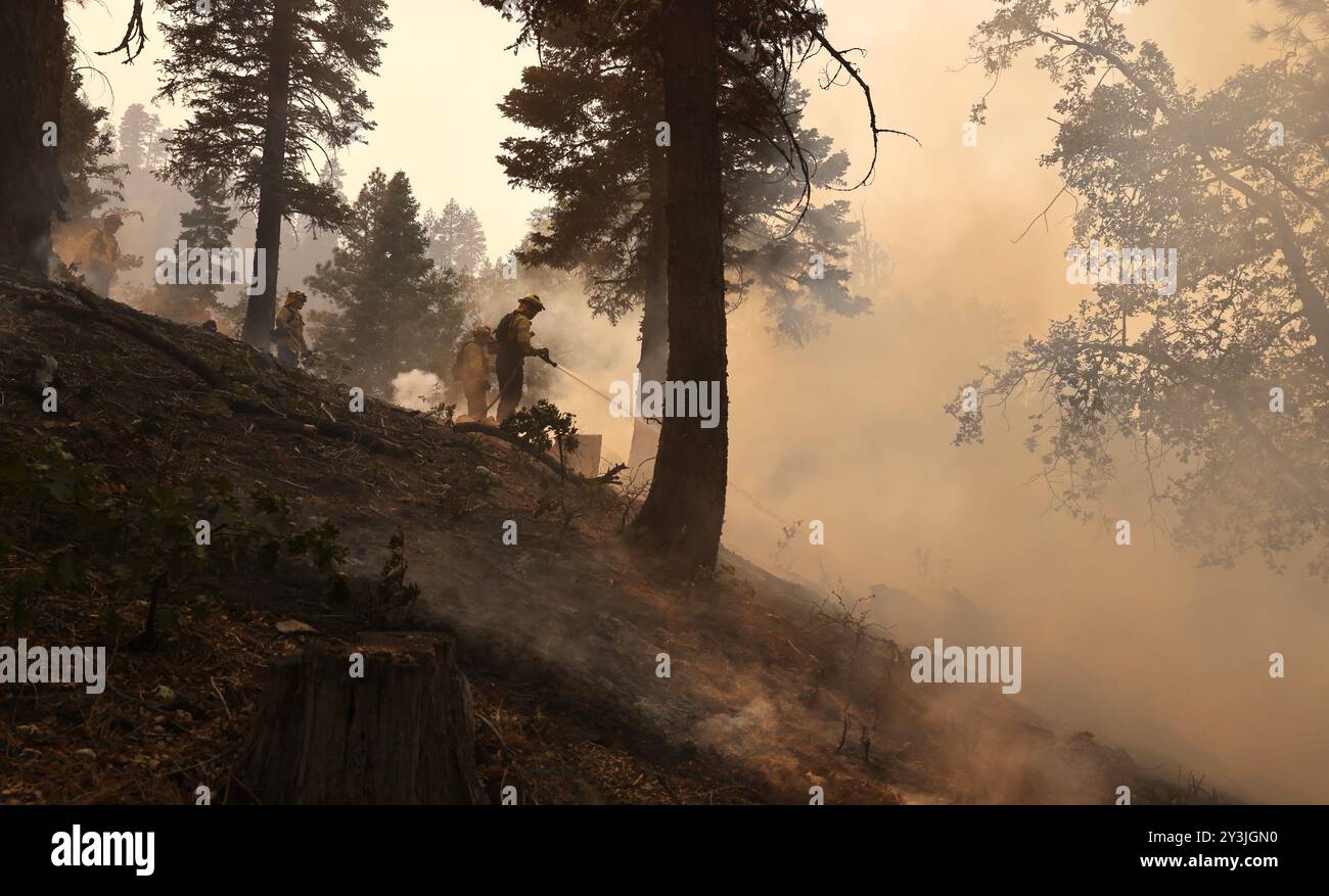 California, Stati Uniti. 13 settembre 2024. I vigili del fuoco combattono contro l'incendio, chiamato The Bridge Fire, nella Angeles National Forest vicino al confine tra le contee di Los Angeles e San Bernardino, in California, negli Stati Uniti, il 13 settembre 2024. Il Bridge Fire, che scoppiò nella Angeles National Forest nella contea di Los Angeles, si è diffuso nella contea di San Bernardino in California. Crediti: Qiu Chen/Xinhua/Alamy Live News Foto Stock