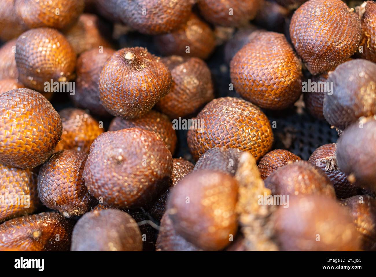 Vista ravvicinata di un mucchio di frutti scuri e scrosciati con una superficie ruvida, comunemente nota come frutta di serpente o insalata. I frutti sono rotondi e hanno un'uniforme Foto Stock