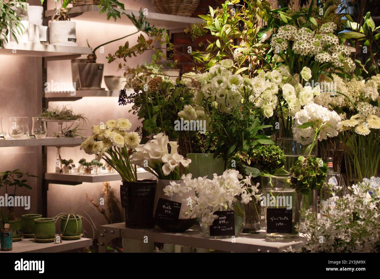 Elegante esposizione floreale bianca circondata da lussureggianti piante verdi e delicate fioriture in un elegante boutique di fiori al coperto Foto Stock