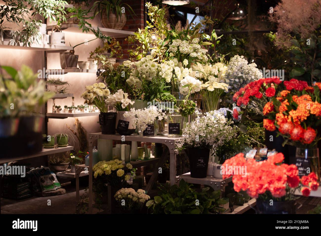 Elegante esposizione floreale bianca circondata da lussureggianti piante verdi e delicate fioriture in un elegante boutique di fiori al coperto Foto Stock