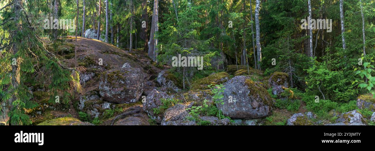 sfondo orizzontale, paesaggio naturale, foresta di montagna Foto Stock