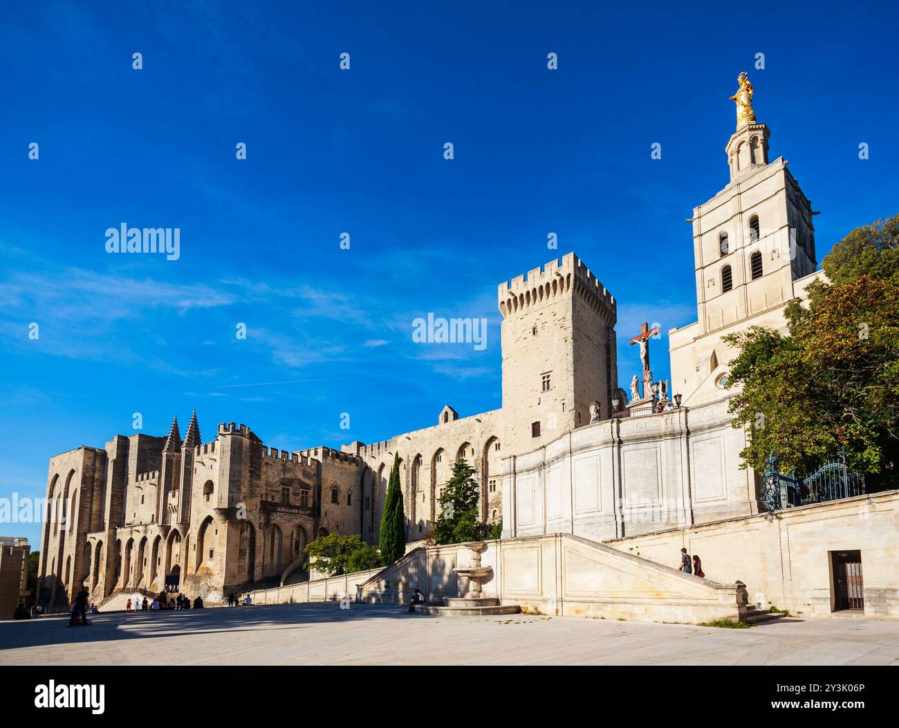 Il Palazzo dei Papi o Palais des Papes e Cattedrale di Avignone nella città di Avignon, Francia meridionale Foto Stock