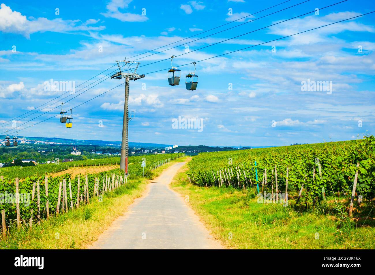 Funivia e vigneti a Rudesheim am Rhein cittadina nella valle del Reno, Germania Foto Stock