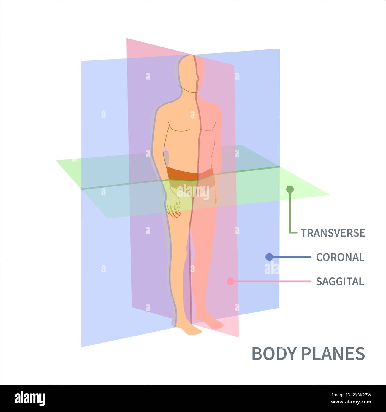 Scansione dei piani per il diagramma di posizione dell'orientamento del corpo Illustrazione Vettoriale