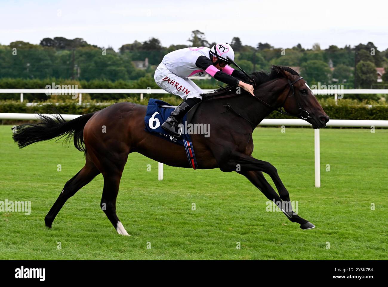 Porta fortuna, guidata dal fantino Tom Marquand, per vincere le gare "giustificate" di Coolmore America all'ippodromo di Leopardstown. Data foto: Sabato 14 settembre 2024. Scopri la storia della PA a Leopardstown. Il credito fotografico dovrebbe essere: Healy Racing/PA Wire. RESTRIZIONI: Utilizzo soggetto a restrizioni. Solo per uso editoriale, nessun uso commerciale senza il previo consenso del titolare dei diritti. Foto Stock