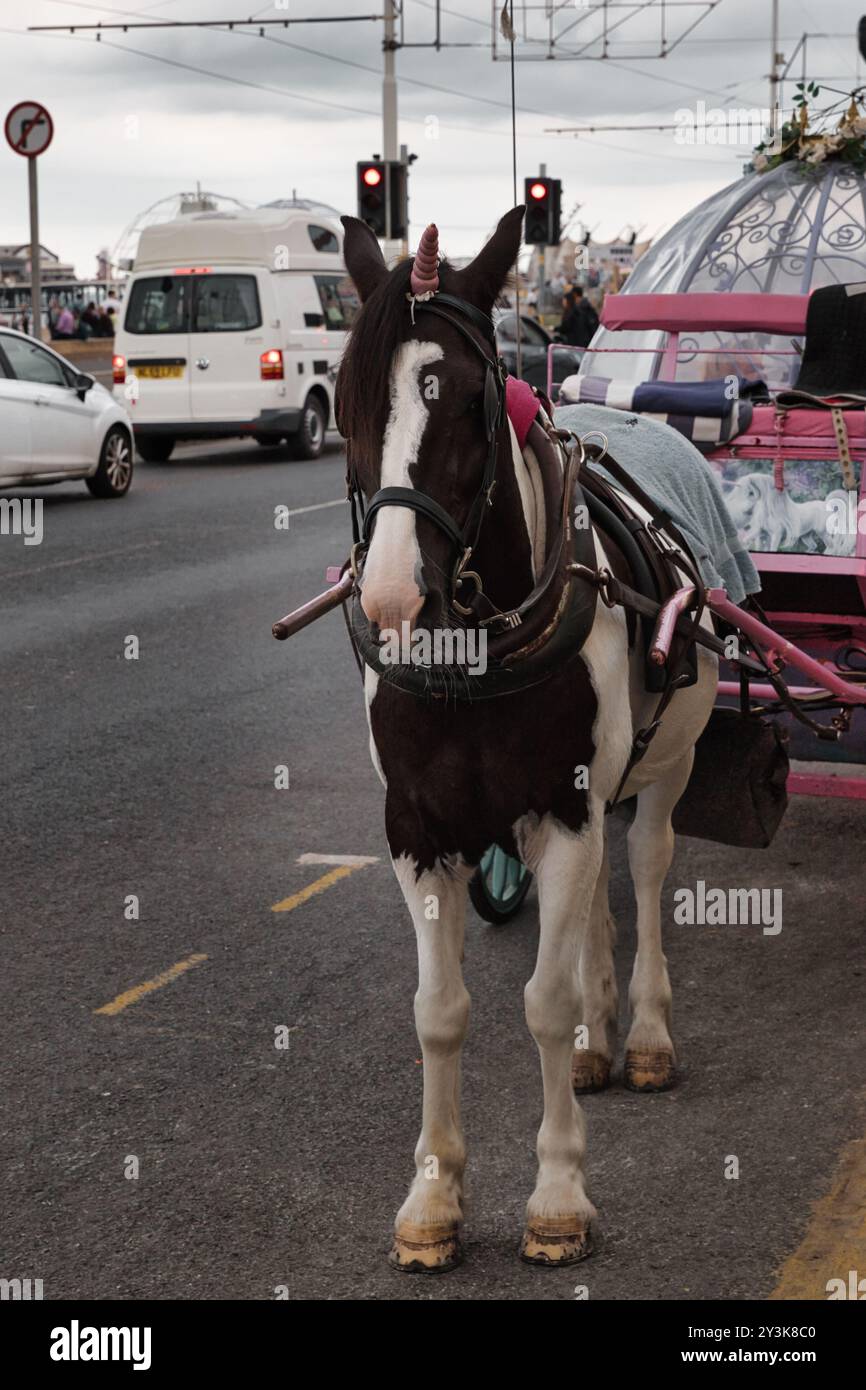 Un cavallo con un corno di unicorno si erge accanto a una carrozza colorata su una strada trafficata. Il cavallo è bianco e nero, indossa un'imbracatura, con una sella rosa. T Foto Stock
