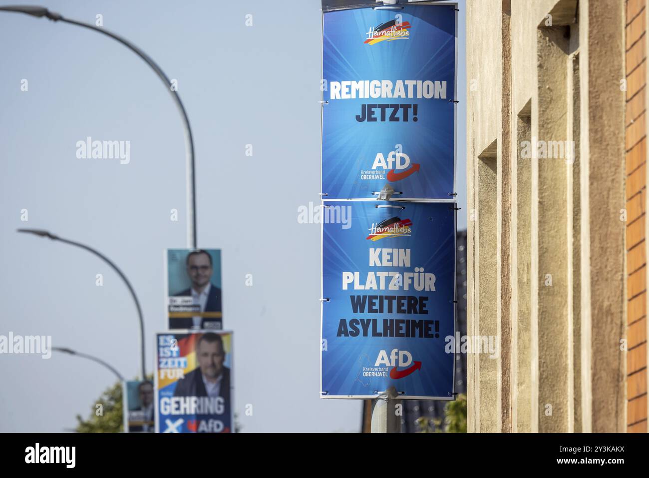 Elezioni statali in Brandeburgo 2024: Il partito AfD pubblicizza i voti sui manifesti elettorali. Teschendorf, Brandeburgo, Germania, Europa Foto Stock