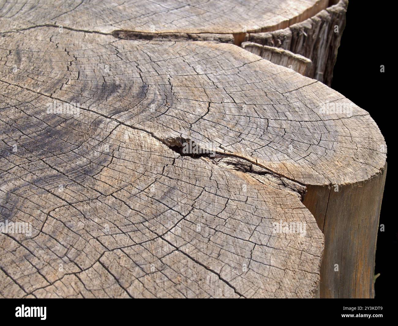 Primo piano di un ceppo d'albero con una superficie di legno marrone ruvida con segni di bruciatura più scuri e incrinature dopo gli anelli di crescita Foto Stock