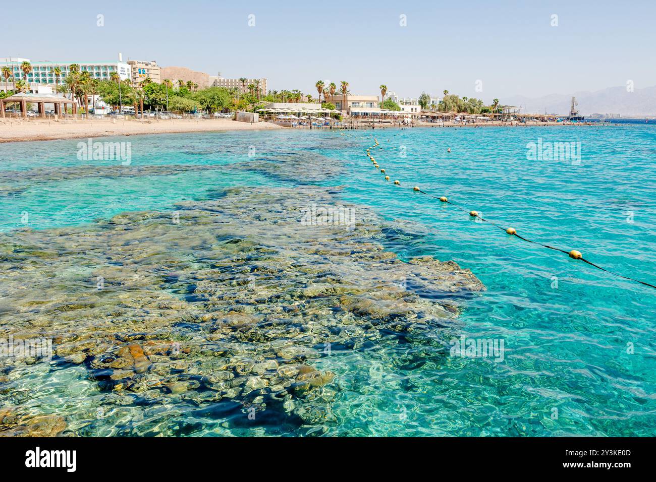 Acque cristalline del Mar Rosso con barriera corallina e vita marina. Spiaggia di Eilat in estate Foto Stock