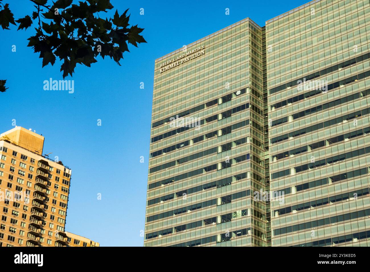 Gli ospedali di Langone della NYU hanno un grande campus verticale sulla First Avenue a Kips Bay, New York City, 2024, USA Foto Stock