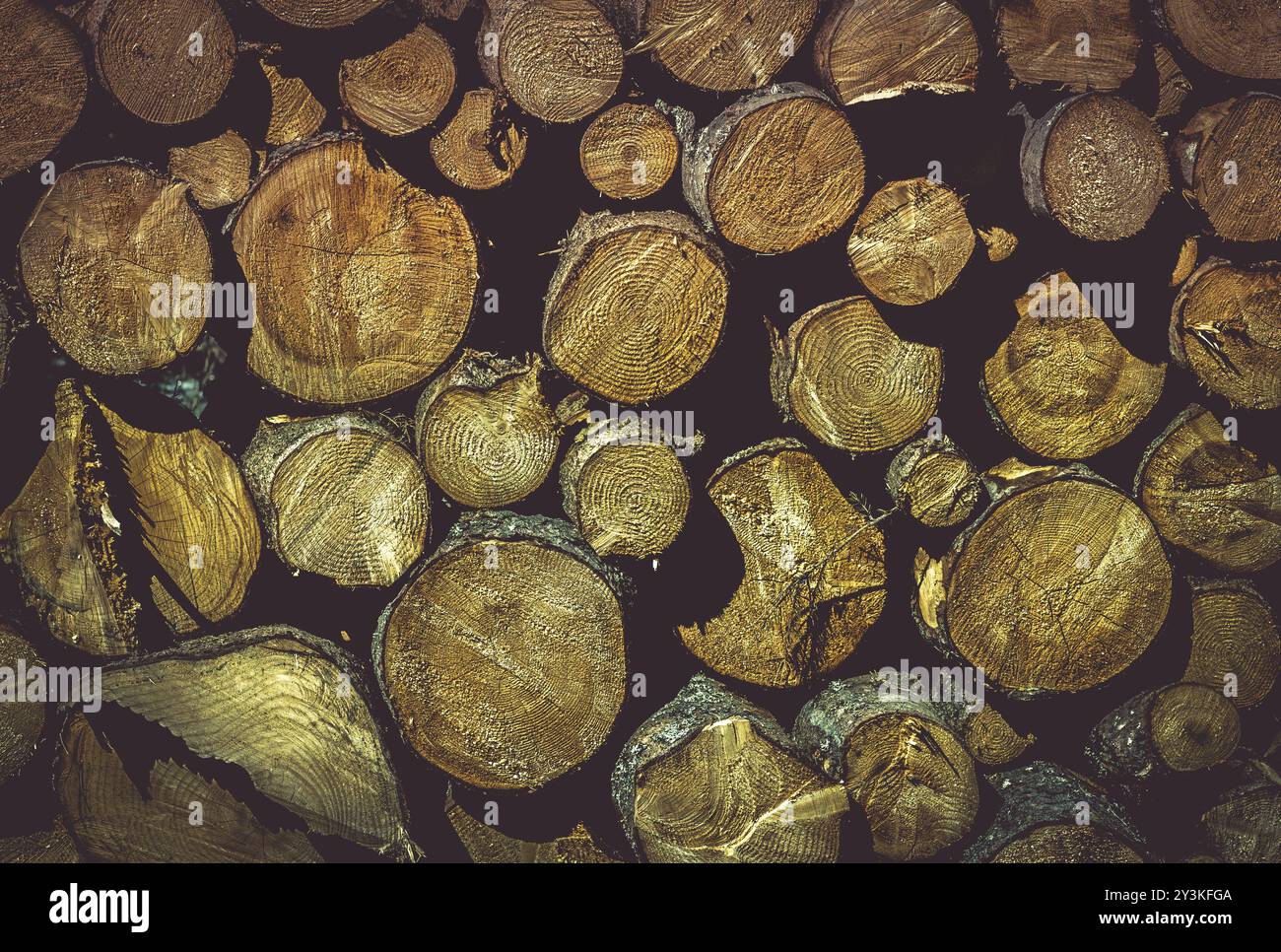 Splendido sfondo con una pila di tronchi di legno pronti per essere tritati, dettagli perfetti sugli anelli e le curve dell'albero Foto Stock