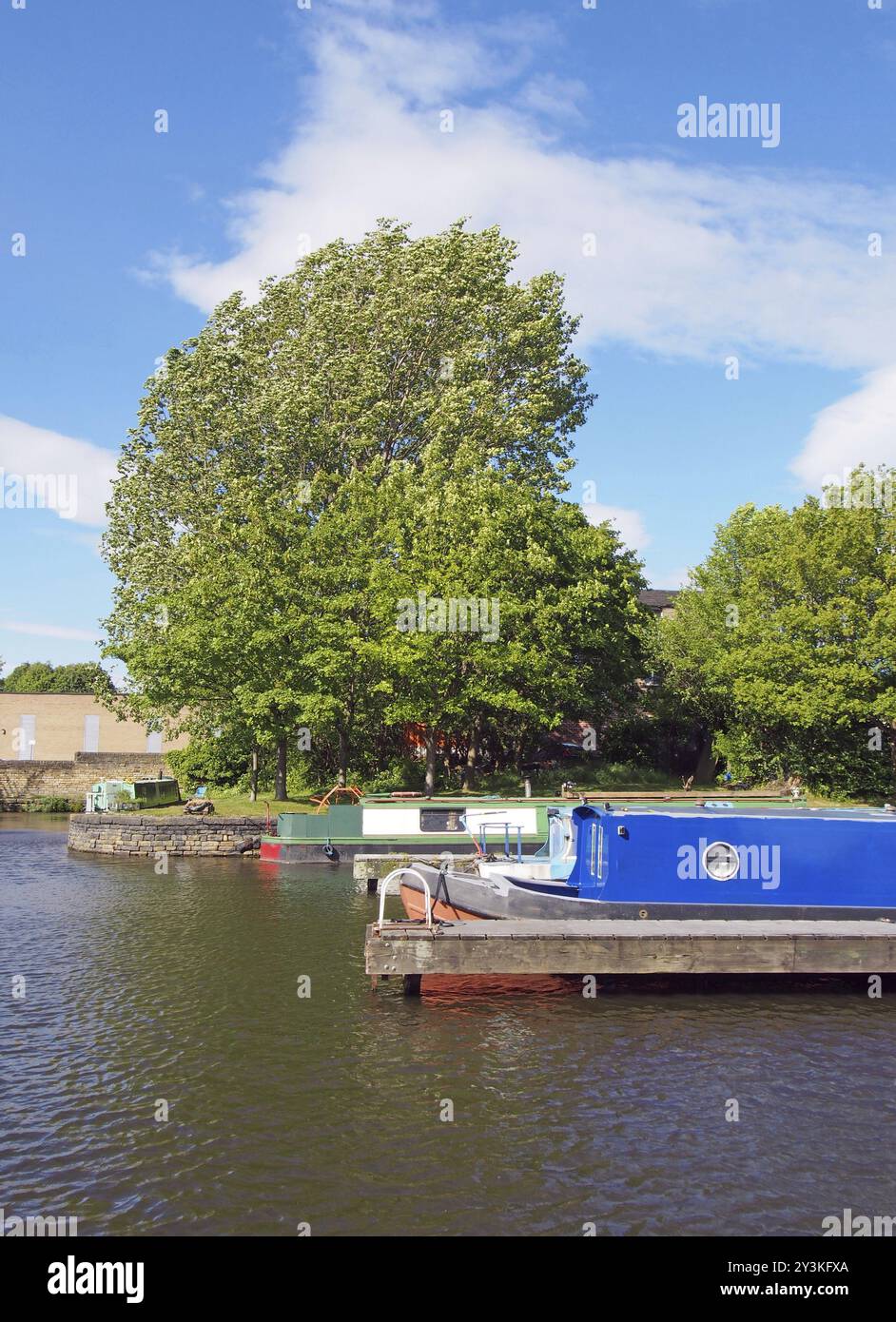 Vecchie e strette barche convertite in case galleggianti ormeggiate nel porticciolo di brighouse Basin nell'ovest dello yorkshire, circondate da alberi e da un cielo azzurro e luminoso Foto Stock