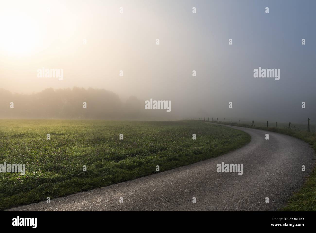 Paesaggio autunnale con il sole mattutino che attraversa la nebbia e illumina un prato verde e una strada di campagna, vicino a Schwabisch Hall, Germania, EUR Foto Stock